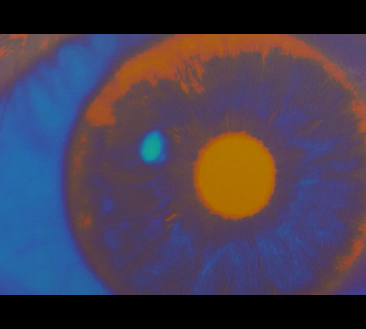 eyes