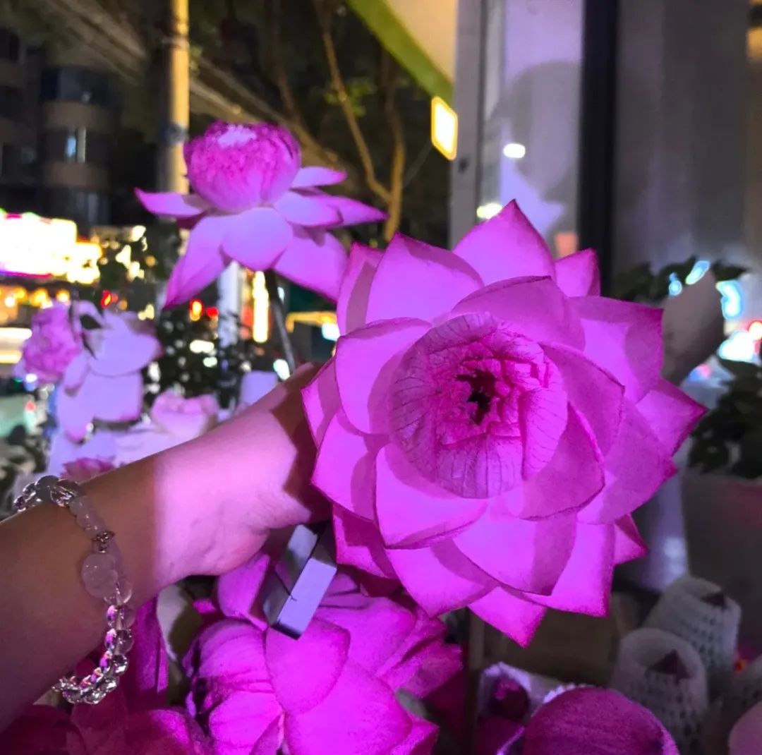 🌸🌿🪷