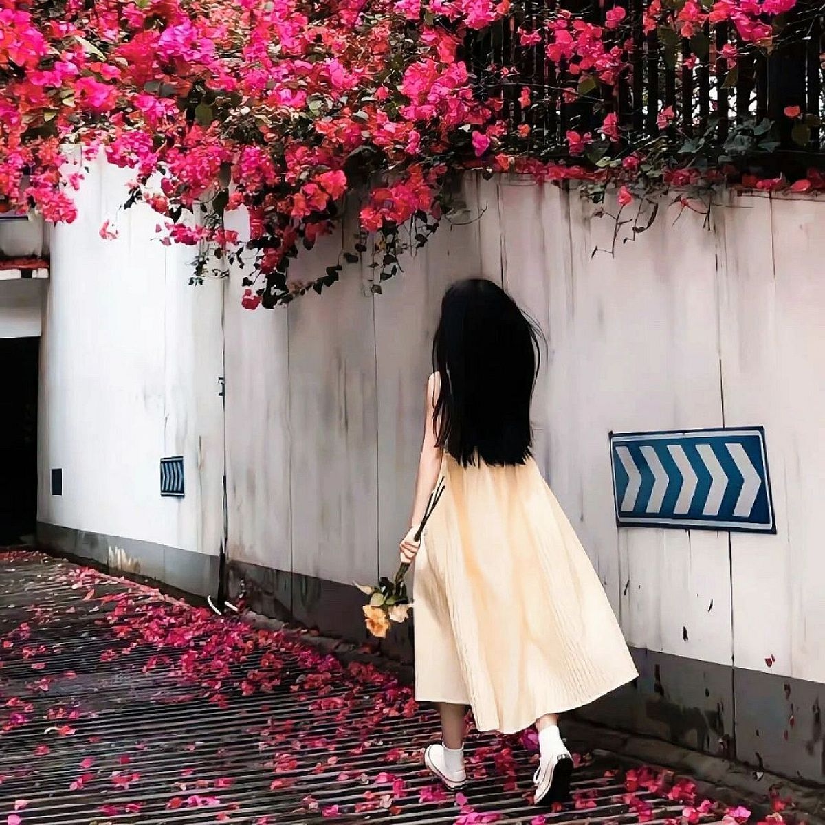 Spring and flower