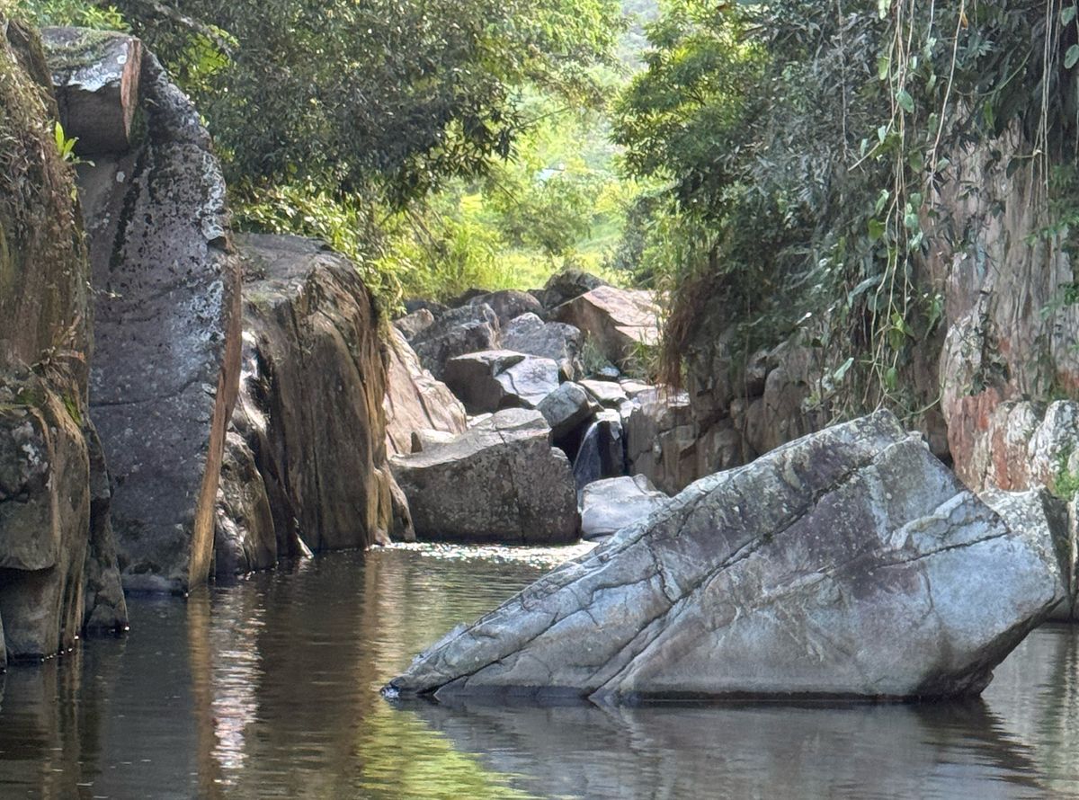 nature