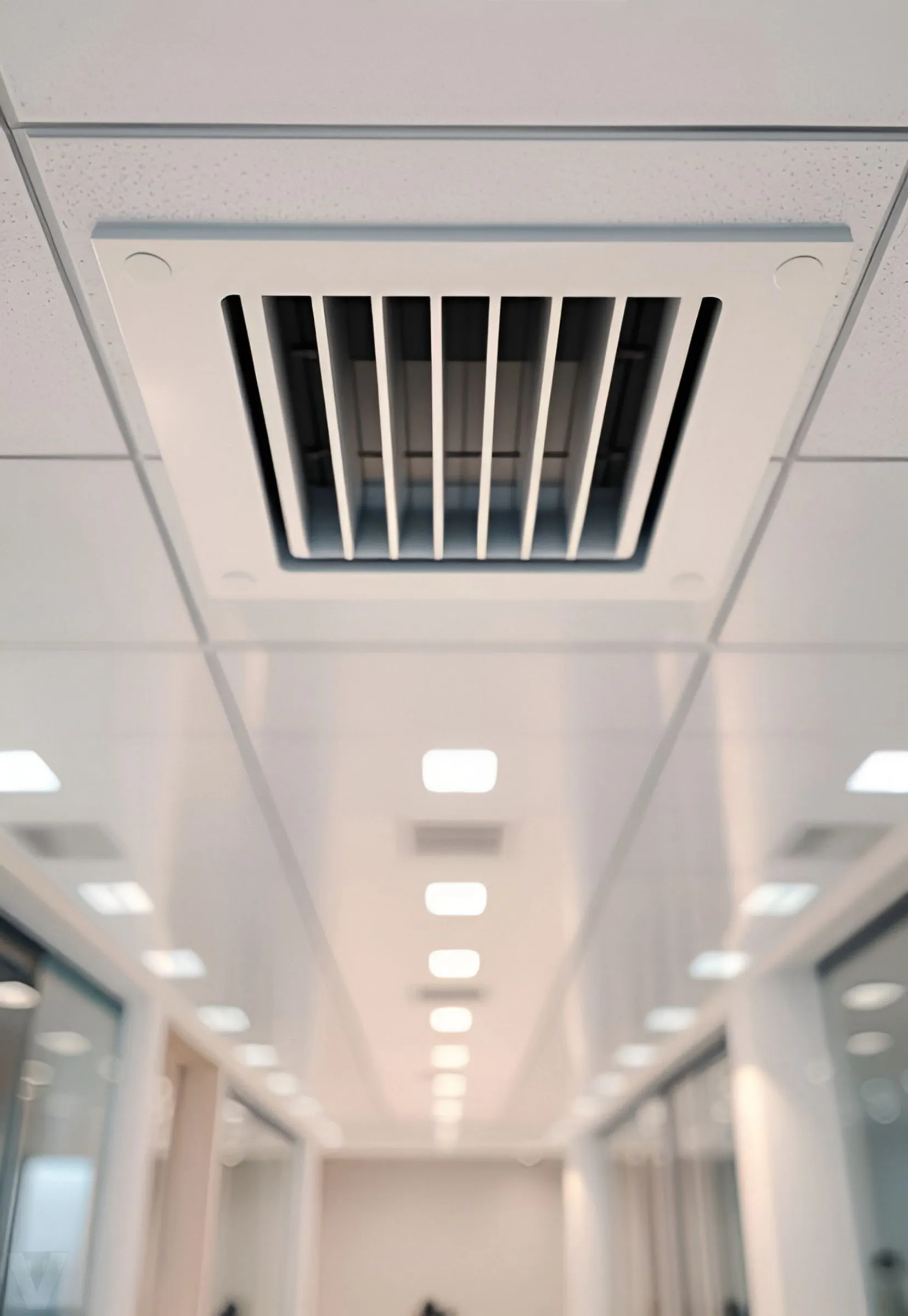 Boosting Business Productivity Through a Healthier Workspace | VitalyTennant.com | VT Content #1406